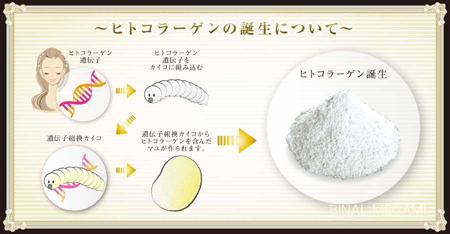 資料 資料