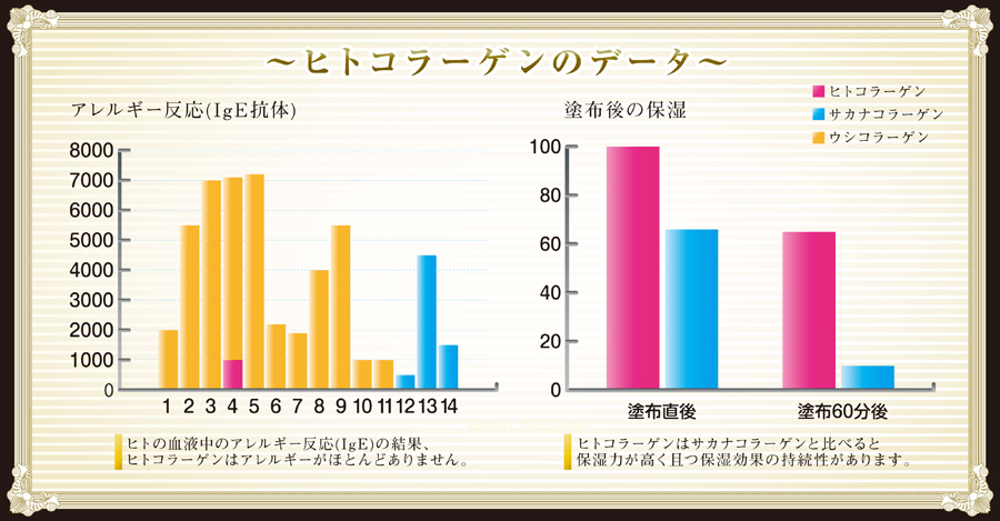 資料2 資料2