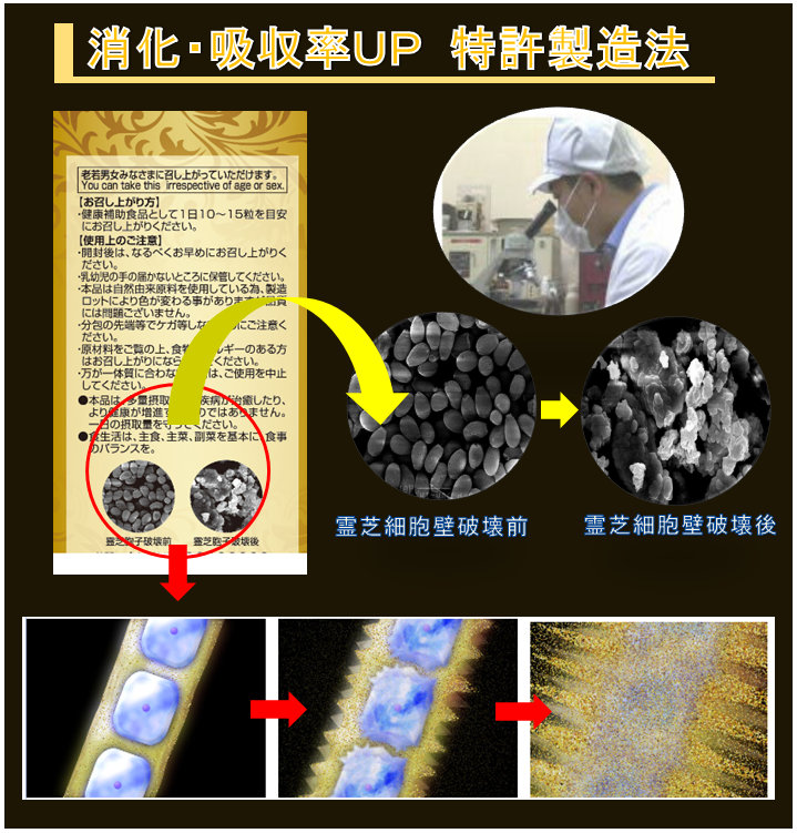 美長年霊芝 美長年霊芝