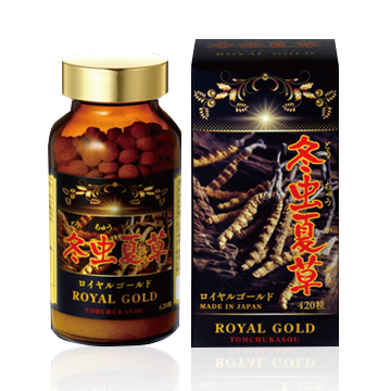 冬虫夏草 冬虫夏草